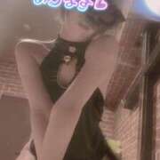 ヒメ日記 2025/04/18 07:09 投稿 おとは 無我（むが）