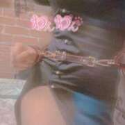 ヒメ日記 2025/04/20 07:22 投稿 おとは 無我（むが）