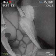 ヒメ日記 2025/04/21 22:31 投稿 おとは 無我（むが）