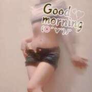 ヒメ日記 2025/04/22 08:52 投稿 おとは 無我（むが）