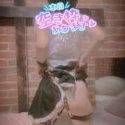 ヒメ日記 2025/05/04 09:39 投稿 おとは 無我（むが）