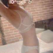 ヒメ日記 2025/05/08 08:14 投稿 おとは 無我（むが）