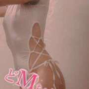 ヒメ日記 2025/05/09 11:31 投稿 おとは 無我（むが）