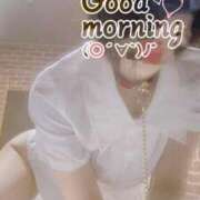 ヒメ日記 2025/05/13 07:35 投稿 おとは 無我（むが）