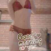 ヒメ日記 2025/05/19 10:02 投稿 おとは 無我（むが）