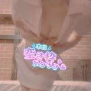 ヒメ日記 2025/05/23 07:25 投稿 おとは 無我（むが）