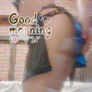 ヒメ日記 2025/05/29 07:17 投稿 おとは 無我（むが）