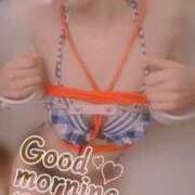 ヒメ日記 2025/05/31 09:18 投稿 おとは 無我（むが）