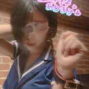 ヒメ日記 2025/06/13 11:31 投稿 おとは 無我（むが）