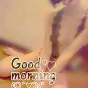 ヒメ日記 2025/06/16 08:37 投稿 おとは 無我（むが）