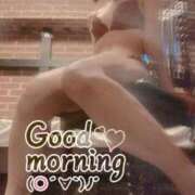 ヒメ日記 2025/06/23 09:17 投稿 おとは 無我（むが）