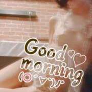 ヒメ日記 2025/07/24 06:42 投稿 おとは 無我（むが）