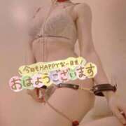 ヒメ日記 2025/08/25 05:30 投稿 おとは 無我（むが）