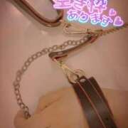 ヒメ日記 2025/09/05 11:34 投稿 おとは 無我（むが）