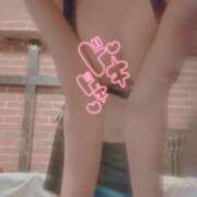 ヒメ日記 2025/09/07 11:46 投稿 おとは 無我（むが）