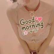 ヒメ日記 2025/10/23 07:01 投稿 おとは 無我（むが）