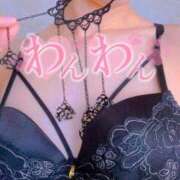 ヒメ日記 2025/10/31 09:43 投稿 おとは 無我（むが）