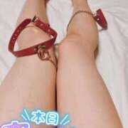 ヒメ日記 2025/11/02 06:50 投稿 おとは 無我（むが）