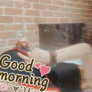 ヒメ日記 2025/11/04 06:58 投稿 おとは 無我（むが）