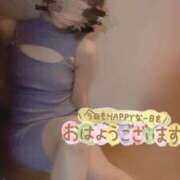 ヒメ日記 2025/11/15 06:30 投稿 おとは 無我（むが）