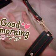 ヒメ日記 2025/11/18 08:31 投稿 おとは 無我（むが）