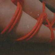 ヒメ日記 2025/11/25 22:01 投稿 おとは 無我（むが）