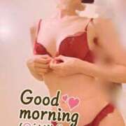 ヒメ日記 2025/11/29 07:49 投稿 おとは 無我（むが）