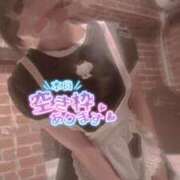 ヒメ日記 2025/12/05 11:29 投稿 おとは 無我（むが）