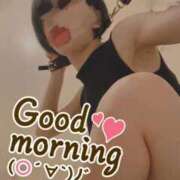 ヒメ日記 2025/12/06 06:06 投稿 おとは 無我（むが）