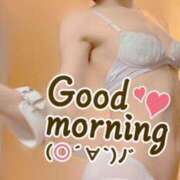 ヒメ日記 2025/12/10 08:39 投稿 おとは 無我（むが）