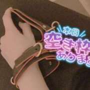 ヒメ日記 2025/12/14 08:01 投稿 おとは 無我（むが）