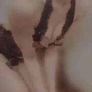 ヒメ日記 2025/12/16 21:31 投稿 おとは 無我（むが）