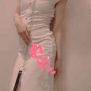 ヒメ日記 2025/12/19 11:28 投稿 おとは 無我（むが）