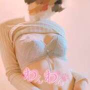 ヒメ日記 2025/12/21 08:50 投稿 おとは 無我（むが）