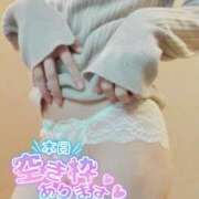 ヒメ日記 2025/12/26 07:31 投稿 おとは 無我（むが）