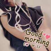 ヒメ日記 2026/01/12 09:30 投稿 おとは 無我（むが）