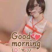 ヒメ日記 2026/01/19 08:08 投稿 おとは 無我（むが）