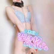 ヒメ日記 2026/01/25 11:30 投稿 おとは 無我（むが）