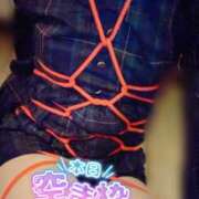 ヒメ日記 2026/01/30 09:09 投稿 おとは 無我（むが）