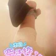 ヒメ日記 2026/02/01 08:14 投稿 おとは 無我（むが）