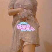 ヒメ日記 2026/02/06 11:38 投稿 おとは 無我（むが）