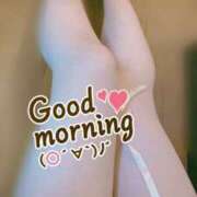 ヒメ日記 2026/02/07 07:33 投稿 おとは 無我（むが）