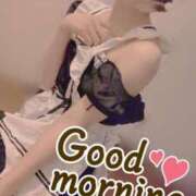 ヒメ日記 2026/02/14 07:15 投稿 おとは 無我（むが）