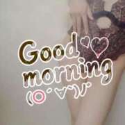 ヒメ日記 2026/02/15 08:21 投稿 おとは 無我（むが）