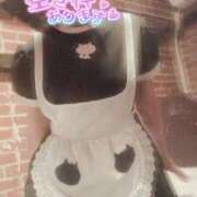 ヒメ日記 2026/02/22 11:31 投稿 おとは 無我（むが）