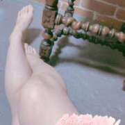 ヒメ日記 2026/03/01 10:33 投稿 おとは 無我（むが）