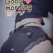 ヒメ日記 2026/03/10 07:00 投稿 おとは 無我（むが）