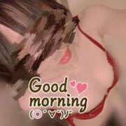 ヒメ日記 2026/03/14 08:00 投稿 おとは 無我（むが）