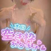 ヒメ日記 2026/03/15 08:00 投稿 おとは 無我（むが）