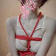 ヒメ日記 2026/03/20 11:23 投稿 おとは 無我（むが）